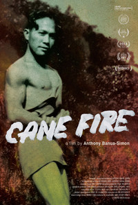  Cane Fire