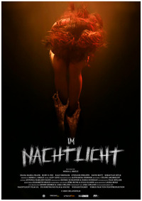 In the Light of the Night (Im Nachtlicht)