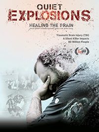 Quiet Explosions: Healing the Brain