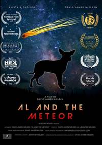Al and the Meteor