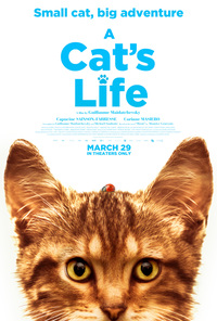 A Cat's Life (Mon chat & moi, la grande aventure de Rrou)