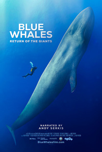 Blue Whales - Return of the Giants