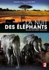 La nuit des elephants