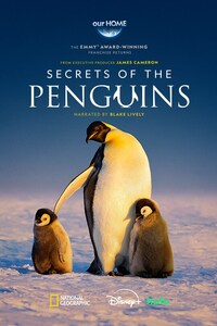 Secrets of the Penguins