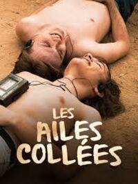 Les ailes collees