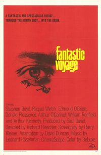 Fantastic Voyage