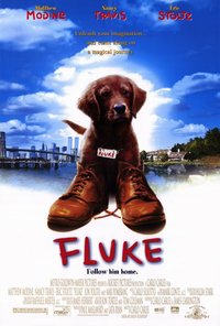 Fluke