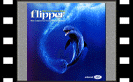 Flipper