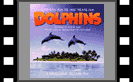 Dolphins